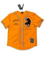 Black Pike BLACK CAT Baseball Jersey Orange