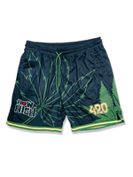 REASON HOW HIGH 420 MESH SHORT