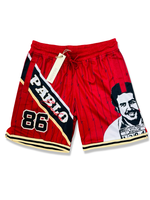 REASON PABLO MESH SHORT